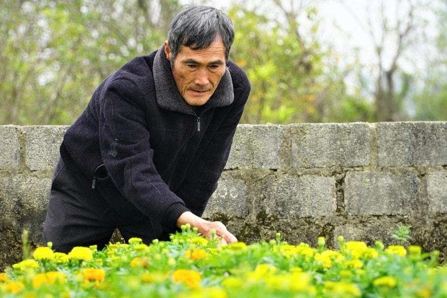 Làm điều không ngờ, lão ngư bị chê "gàn dở" nay thu trăm triệu sau 3 tháng