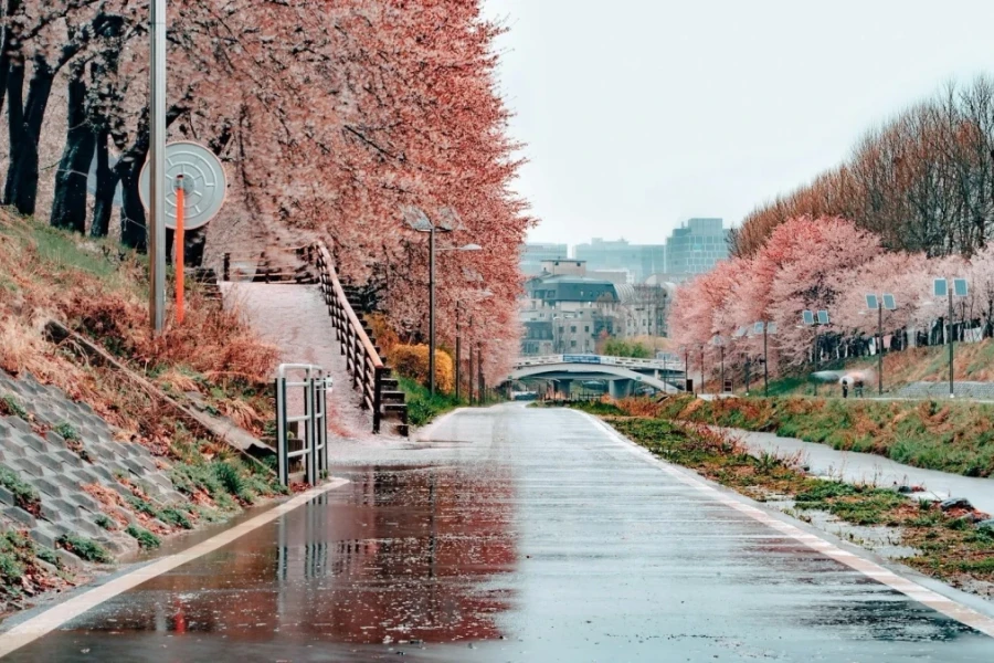 Loạt điểm đến khiến khách mê trong phim 'Tiếng yêu này anh dịch được không'