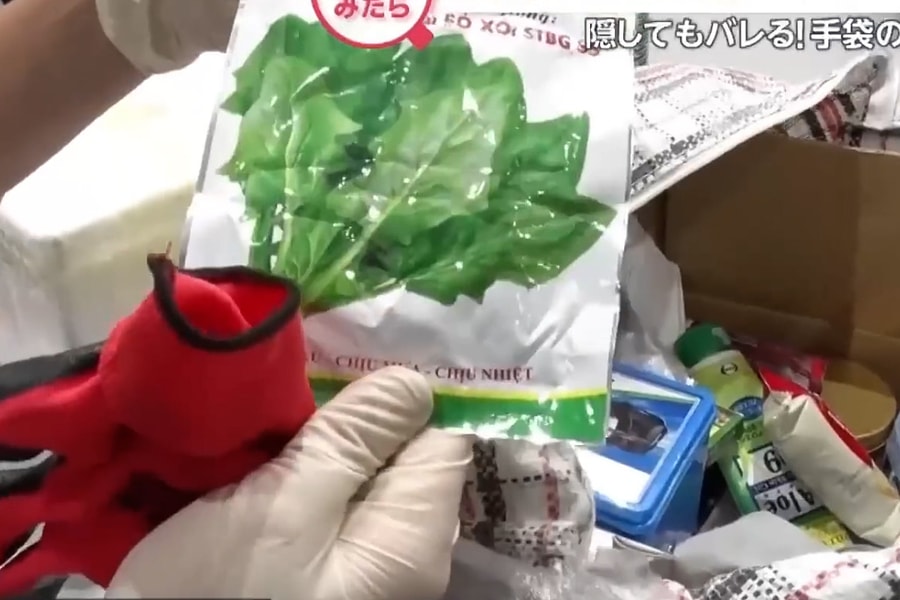 Khách Việt giấu hạt giống rau khi nhập cảnh Nhật Bản