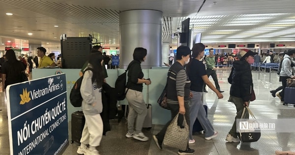 Sân bay Tân Sơn Nhất kích hoạt quy trình giám sát dịch bệnh do virus Nipah
