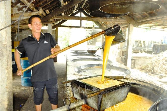 Làng nghề mật mía vào vụ Tết, nhiều hộ thu hàng trăm triệu đồng