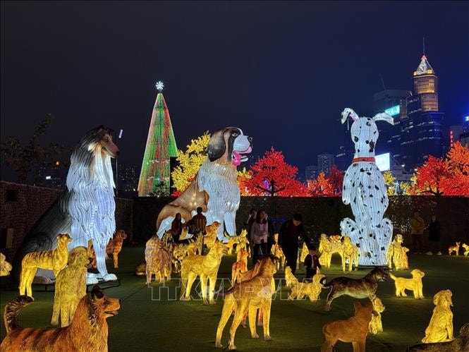 Kỳ ảo lễ hội ánh sáng tại Hong Kong (Trung Quốc)