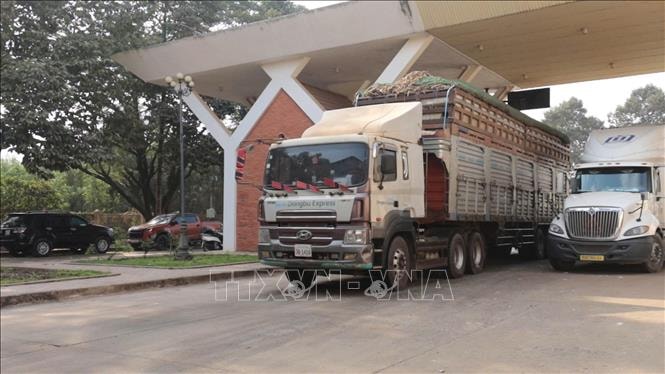 Tây Ninh kịp thời tháo gỡ khó khăn thủ tục nhập hàng nông sản tại cửa khẩu