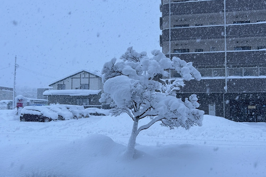 18 người thiệt mạng, 249 người bị thương do tuyết rơi dày kỷ lục tại Nhật Bản