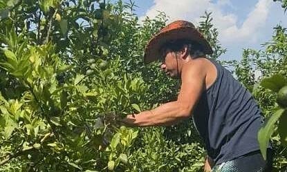 Thiếu gia 3 bằng thạc sĩ bỏ biệt thự đi rửa bát thuê