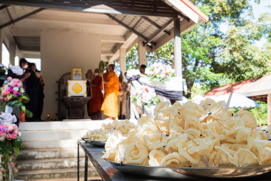 Bị chó cắn, kiêng đi đám ma sẽ không mắc bệnh dại?