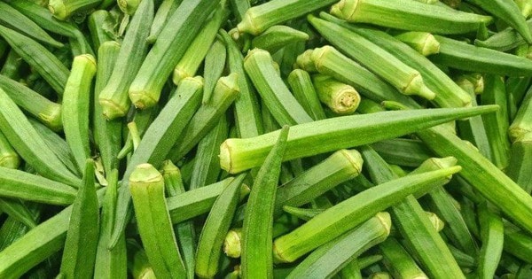 Loại quả bán đầy chợ giá 15.000 đồng, sang Nhật thành "nhân sâm xanh" giúp sống thọ