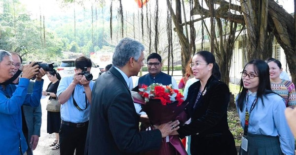 Ấn Độ sẵn sàng đồng hành cùng Việt Nam bảo tồn Mỹ Sơn