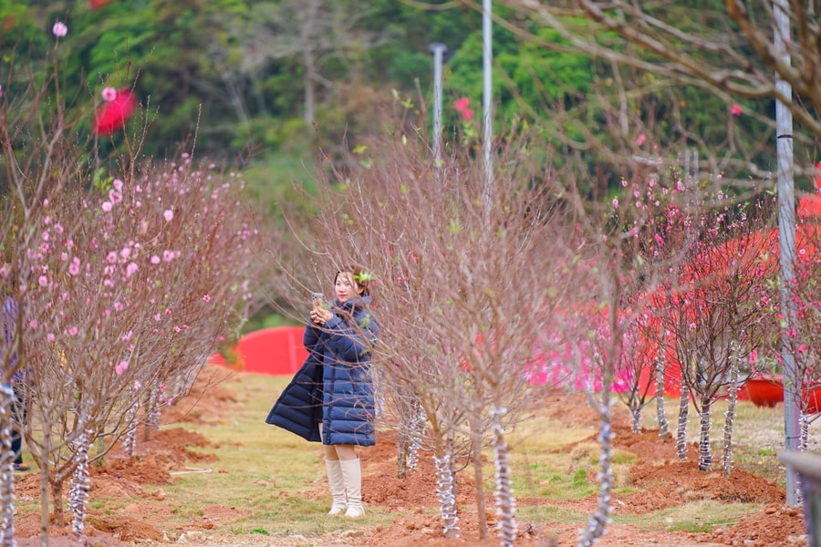 Lễ hội Hoa đào xứ Lạng tôn vinh bản sắc văn hóa vùng biên