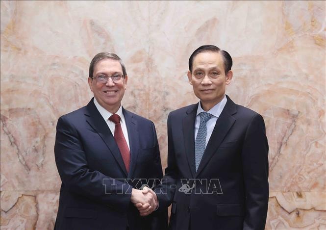 Bộ trưởng Ngoại giao Lê Hoài Trung hội đàm với Đặc phái viên, Bộ trưởng Ngoại giao Cuba