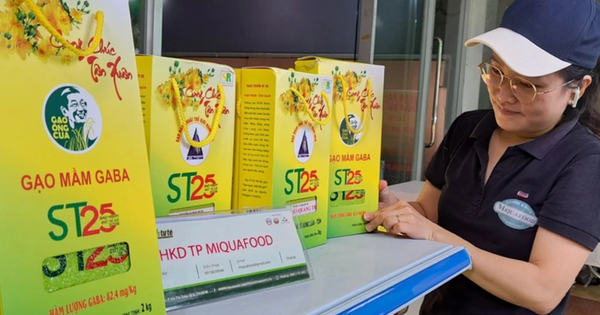 Tin vui đến với gạo ST25 ở Cần Thơ