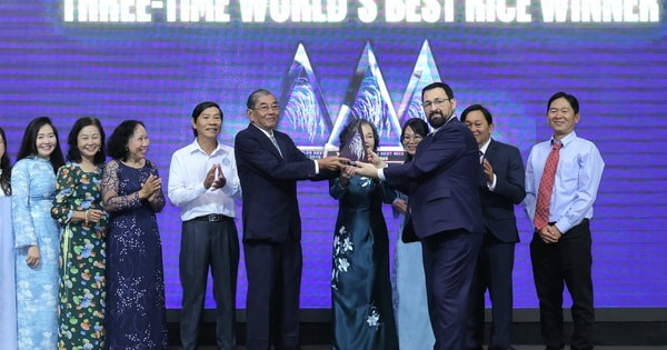 VIDEO: CEO The Rice Trader trực tiếp sang Việt Nam trao cúp cho "cha đẻ" gạo ST25