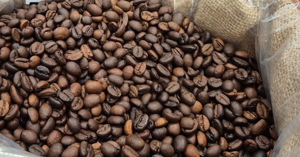 Giá cà phê hôm nay 2-2: Mỹ bất ngờ tăng mua cà phê Việt Nam