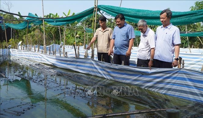 96 năm thành lập Đảng: Bí thư chi bộ xuất sắc của đất Sen hồng