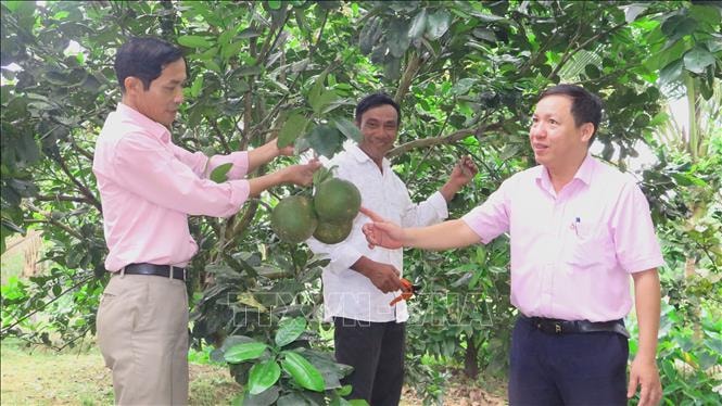 Huế giảm mạnh tỷ lệ hộ nghèo, hướng tới mục tiêu bền vững