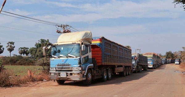 Cấp bách có hướng dẫn kiểm tra thực phẩm nhập khẩu, đảm bảo thông quan hàng hoá