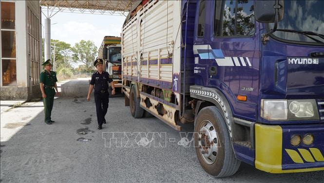 Hải quan hỏa tốc yêu cầu toàn ngành trực 24/7 thông quan thực phẩm nhập khẩu