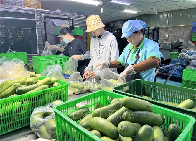 Thưởng Tết Bính Ngọ 2026 tăng hơn năm ngoái dù kinh tế nhiều biến động