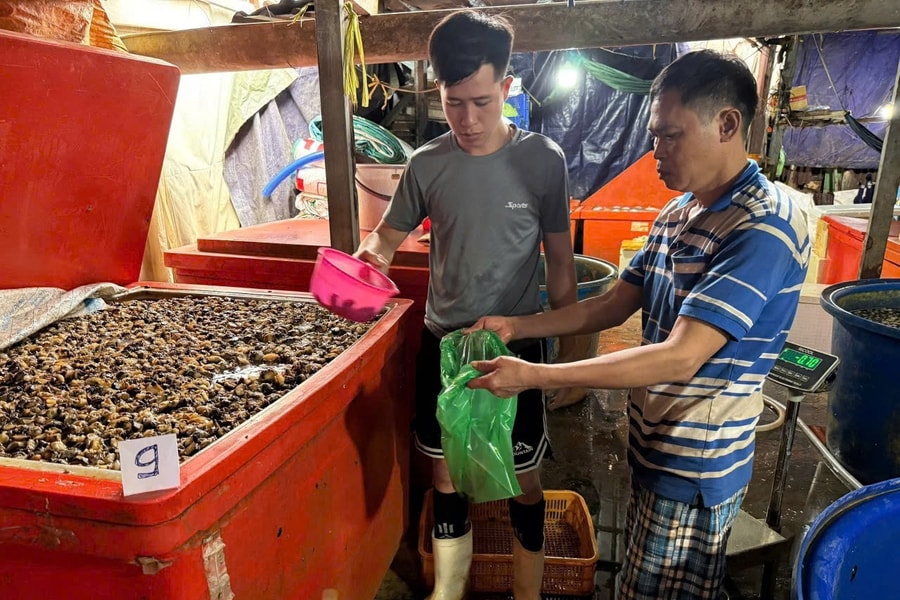 TP Hồ Chí Minh kiểm soát an toàn thực phẩm mùa Tết - Bài 1: Liên tiếp phát hiện vi phạm