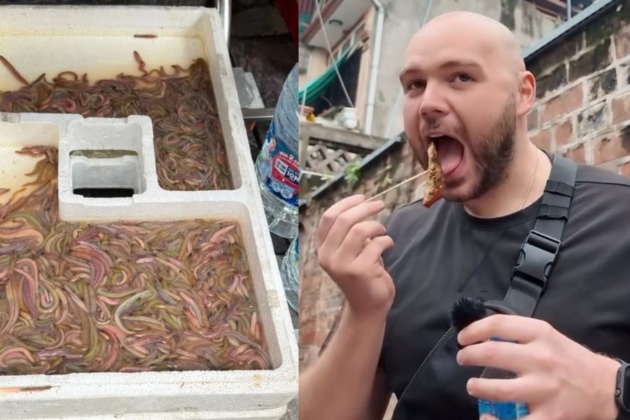 Tưởng bánh rán, khách Tây sửng sốt khi thấy nguyên liệu bò lúc nhúc