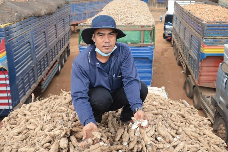 Lý do hàng nhập khẩu thực phẩm, nông sản ách tắc
