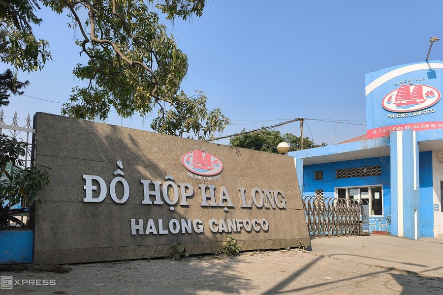 Đồ hộp Hạ Long lỗ trở lại quý cuối 2025