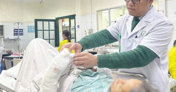 Bị chó tấn công, bà cụ 75 tuổi nguy kịch