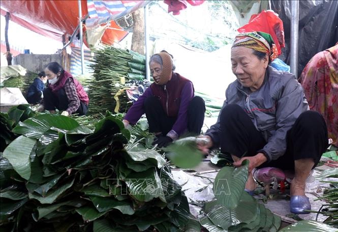 Hành trình 'xuất ngoại' của lá dong Hồng Châu