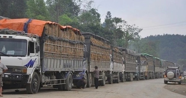 Tạm dừng áp dụng Nghị định 46 về an toàn thực phẩm đến 15-4