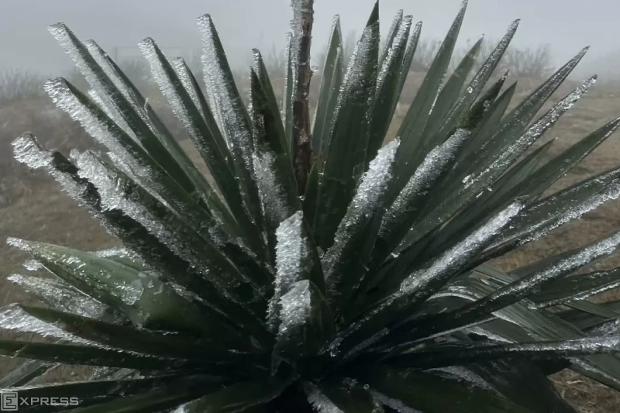 Không khí lạnh mạnh đang tràn xuống miền Bắc