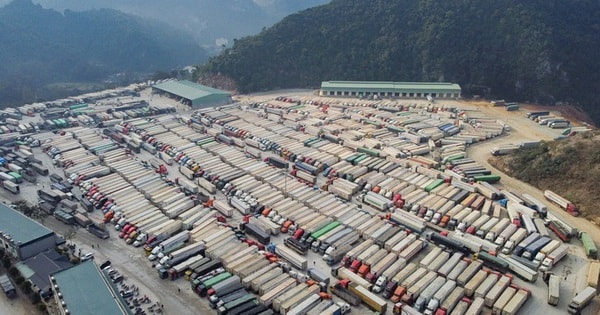 Tạm dừng áp dụng Nghị định 46, Cục Hải quan hoả tốc yêu cầu thông quan nhanh hàng hoá