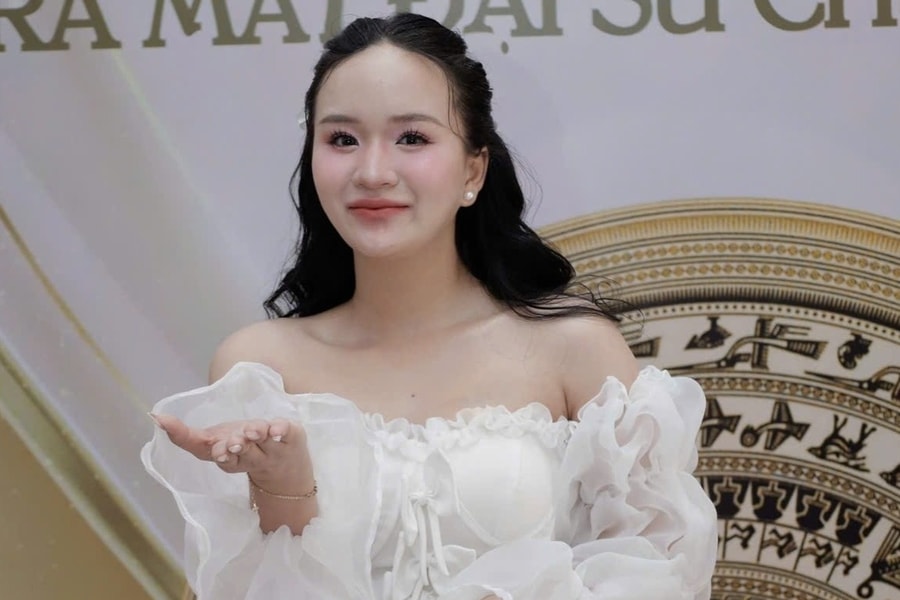 Á khôi Phương Linh vừa bị tạm giữ là ai?