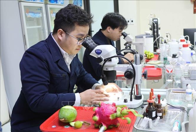 Giữ nhịp thông suốt xuất nhập khẩu nông sản