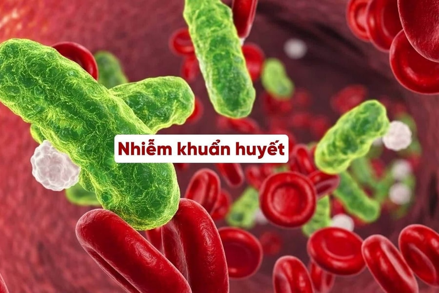 Vi khuẩn phế cầu nguy hiểm như thế nào?