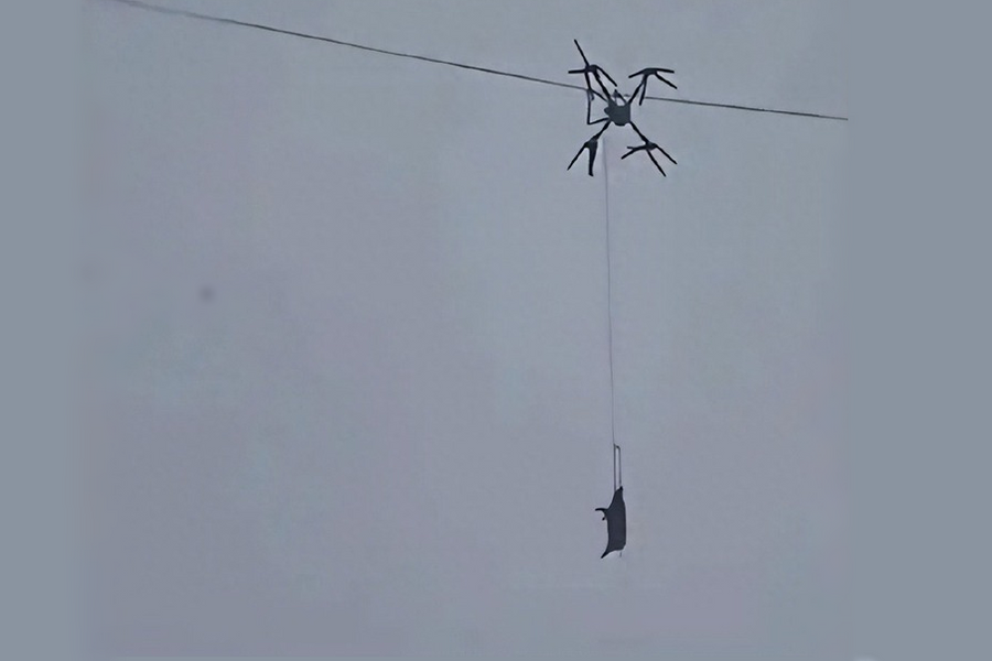 Nông dân khiến cả làng mất điện vì dùng drone chở lợn