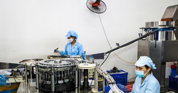 Tháng 1/2026 có gần 49.000 doanh nghiệp gia nhập thị trường, thu NSNN hơn 370.000 tỷ đồng