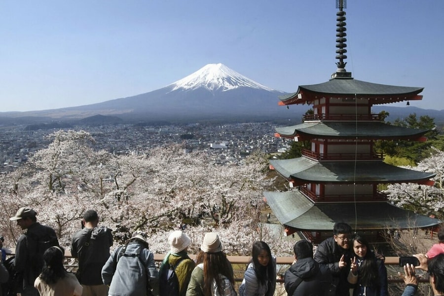 Nhật Bản hủy lễ hội hoa anh đào gần núi Phú Sĩ