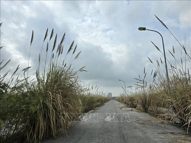Khơi thông 'điểm nghẽn' đất đai - quyết tâm hồi sinh những dự án đô thị đắp chiếu