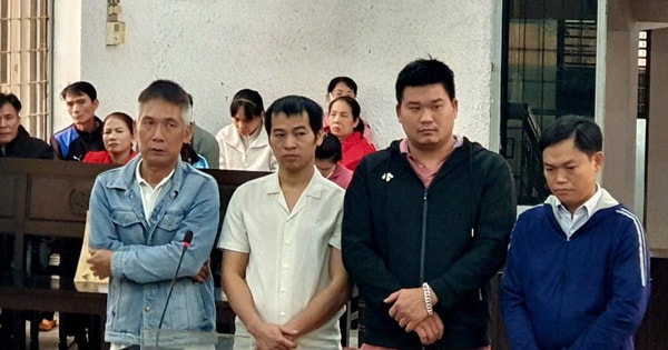 Xét xử vụ án sử dụng hóa chất độc hại để sản xuất giá đỗ, gây xôn xao dư luận