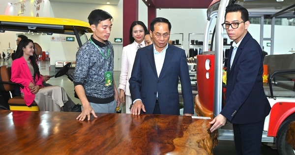 Ngắm phản gỗ quý Cẩm Lai ngàn năm tuổi nặng 6 tấn, giá trị hàng tỉ đồng