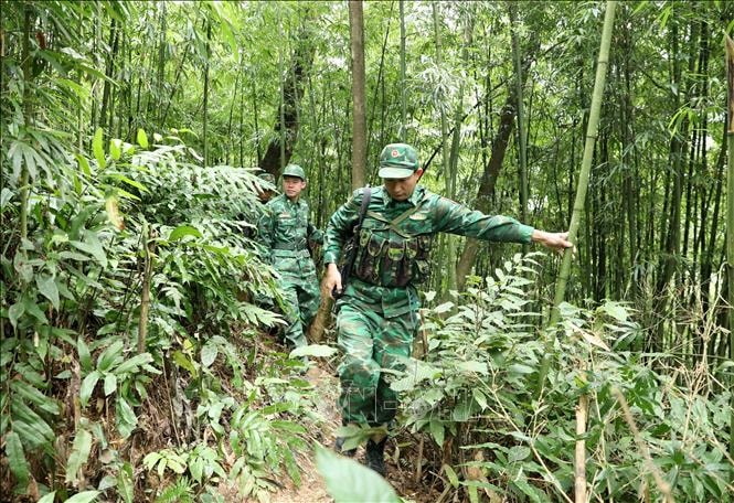 Tổng kết 5 năm thực hiện Đề án tập huấn, tuyên truyền Luật Biên phòng Việt Nam