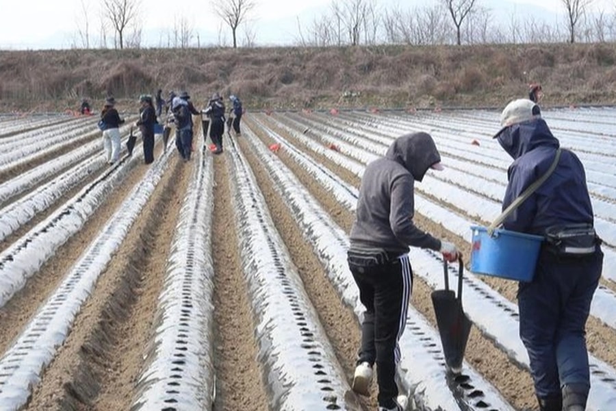 Lao động Việt tại Hàn Quốc có thể được chuyển việc, chuyển vùng