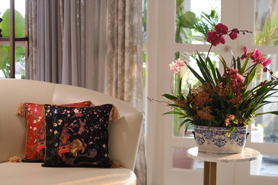 Cách bài trí lan hồ điệp chuẩn sang ngày Tết