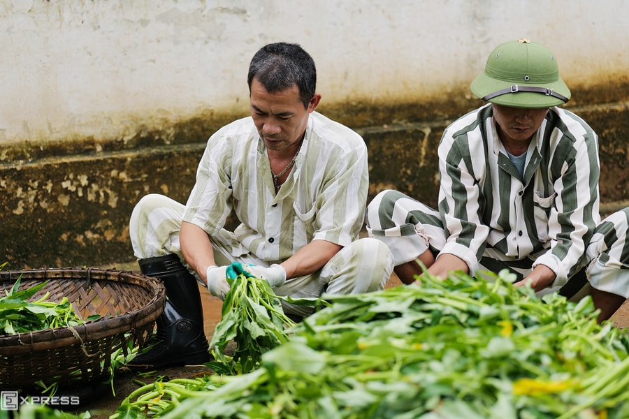 Quy trình 16 ngày cho phạm nhân có nhu cầu hiến tạng