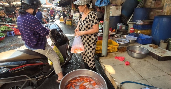 Chợ Tết ngày 23 tháng Chạp: Bất ngờ với giá cá chép