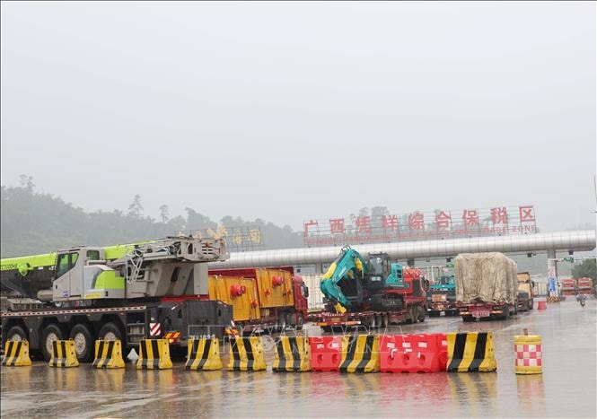 Việt Nam và Trung Quốc đẩy mạnh hợp tác thương mại nông sản