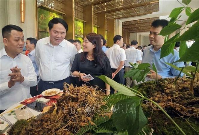 Từ tư duy sản xuất thuần túy đến kinh tế nông nghiệp bền vững (Bài 1)