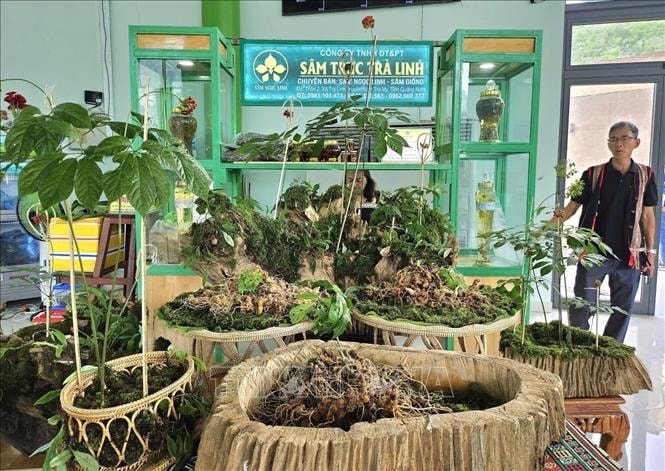 Tư duy kinh tế nông nghiệp bền vững - Bài cuối: Chìa khóa mở rộng không gian kinh tế nông nghiệp