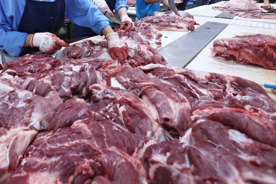 Thịt gia súc được giá, nông dân thêm niềm vui đón Tết