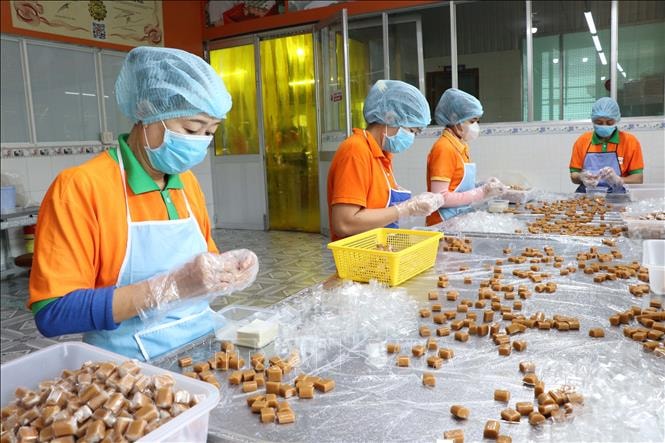 Đặc sản dừa sáp 'cháy hàng', sản lượng tăng mạnh dịp Tết